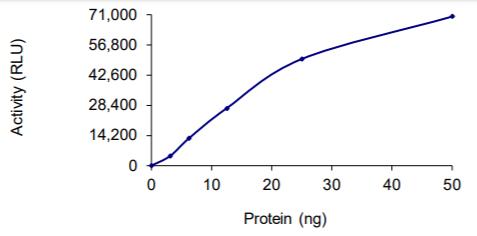 The specific activity of HDAC11 was determined to be 46RLU/min/ng as per activity assay protocol.
